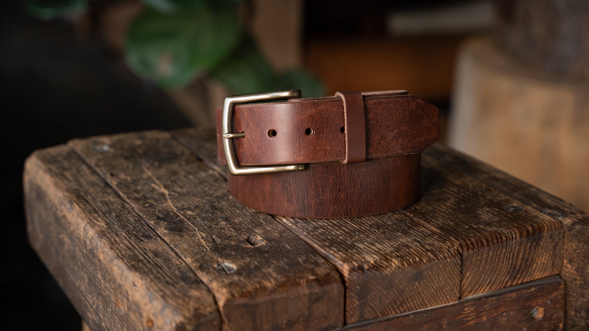 The Mountain Belt Dark Brown. 1.75